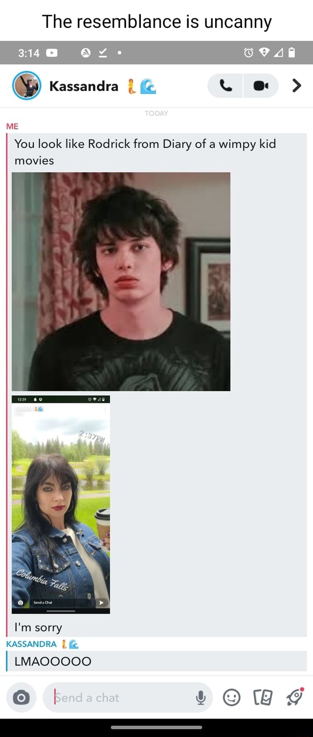 the-resemblance-is-uncanny-314-me-you-look-like-rodrick-from-diary-of