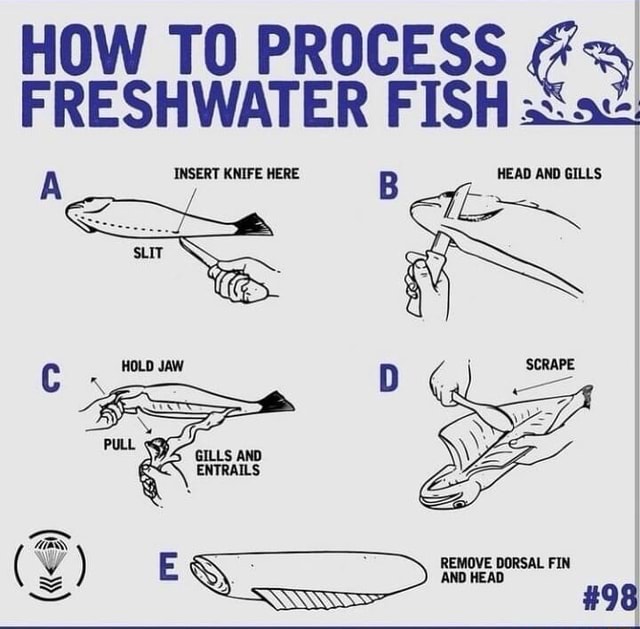 Fish Insert HOW TO PROCESS FRESHWATER FISH sSs