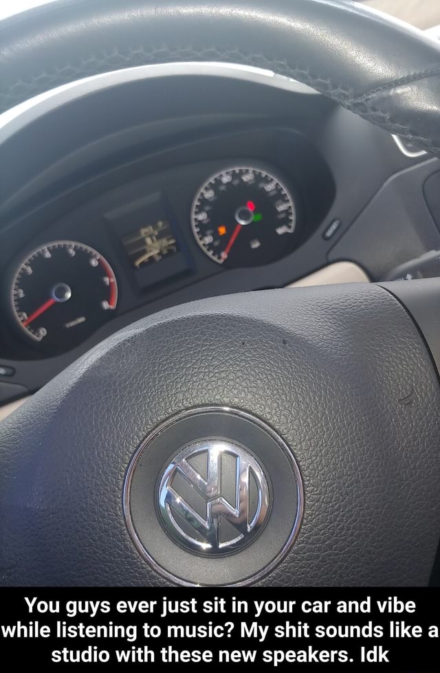 You guys ever just sit in your car and vibe while listening to music