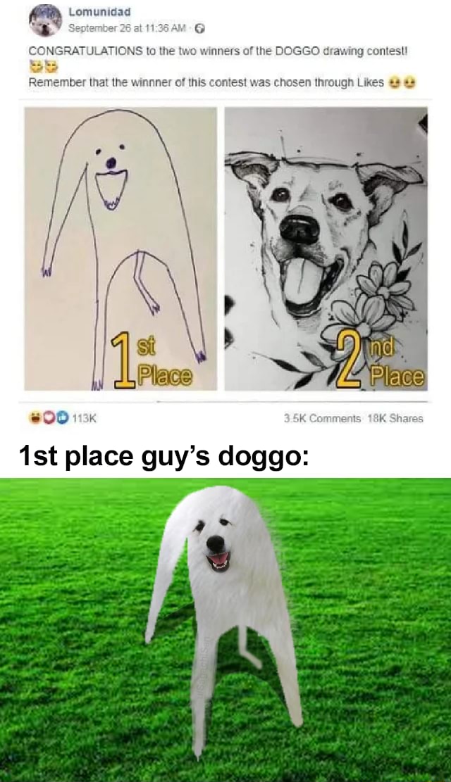 CONGRATULATIONS to the two winners of the DOGGO drawing contest