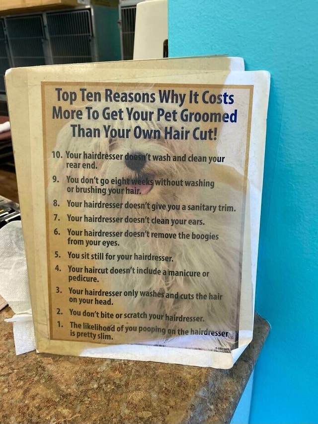 Top Ten Reasons Why It Costs More To Get Your Pet Groomed Than Your