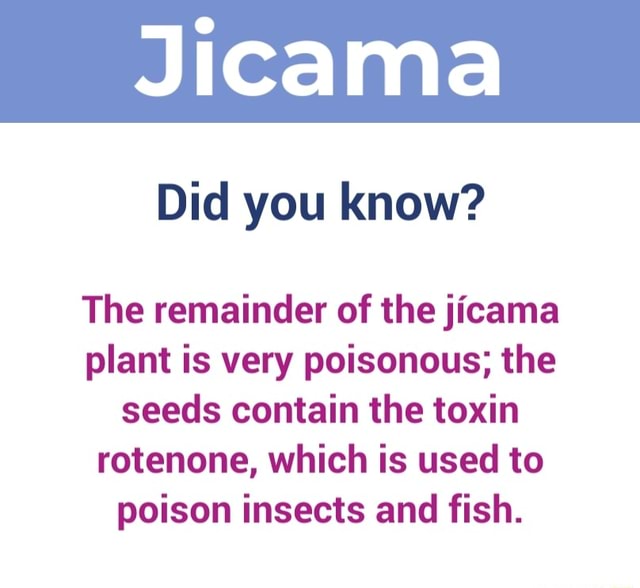 Did you know? The remainder of the jícama plant is very poisonous; the