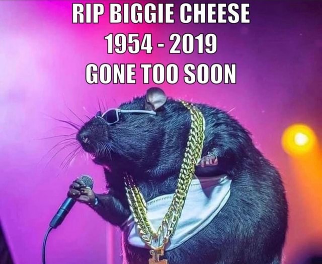 biggiecheese #sad #biggiecheesedead @urmomdotcom081 @6._stro #fy #big