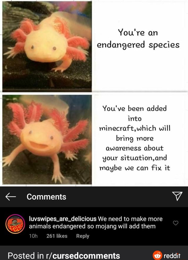 You Re An Endangered Species You Ve Been Added Into Minecraft Which Will Bring More Awareness About Your Situation And Maybe We Can Fix It Luvswipes Are Delicious We Need To Make More Animals Endangered So Mojang You Re An Endangered Species You Ve Been Added Into Minecraft Which Will Bring More Awareness About Your Situation And Maybe We Can Fix It Luvswipes Are Delicious We Need To Make More Animals Endangered So Mojang