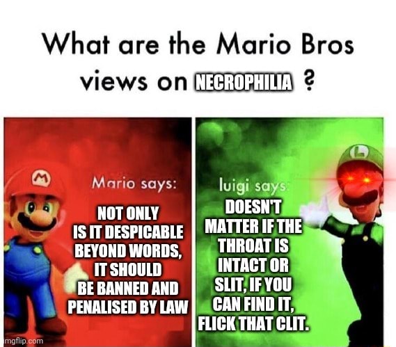 What are the Mario Bros views on ? Mario says: luigi says HOT ONLY ...