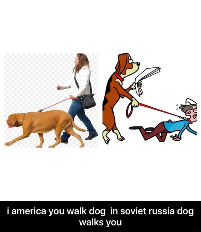I America You Walk Dog In Soviet Russia Dog Walks You I America You Walk Dog In Soviet Russia Dog Walks You