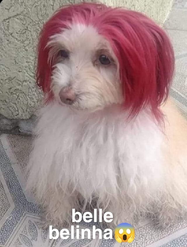 Belle belinha - iFunny Brazil
