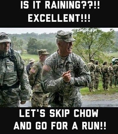 IS IT RAINING? EXCELLENT! LET'S SKIP CHOW AND GO FOR A RUN!! - iFunny