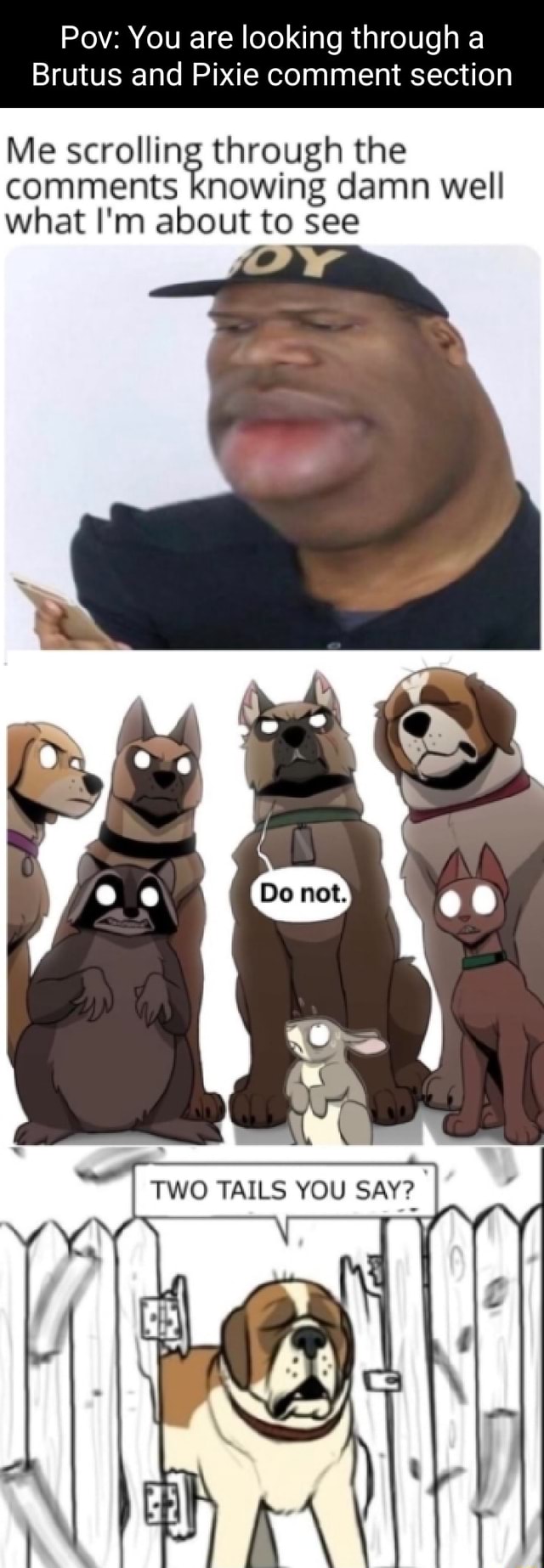 Pov: You are looking through a Brutus and Pixie comment section Me  scrolling through the comments knowing damn well what I'm about to see I TWO  TAILS YOU II - iFunny