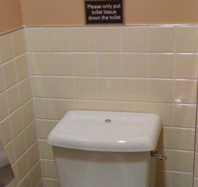 Please only put I toilet tissue down the toilet America’s best pics