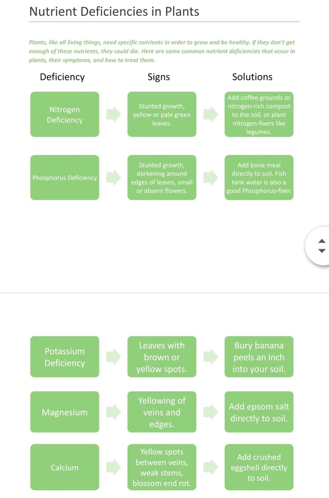 Nutrient Deficiencies in Plants Plants, like all living things, need