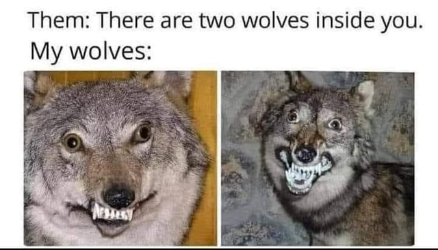 Them: There are two wolves inside you. My wolves: - iFunny