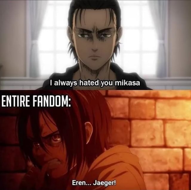 I always hated you mikasa ENTIRE FANDOM: Eren... Jaeger! - iFunny