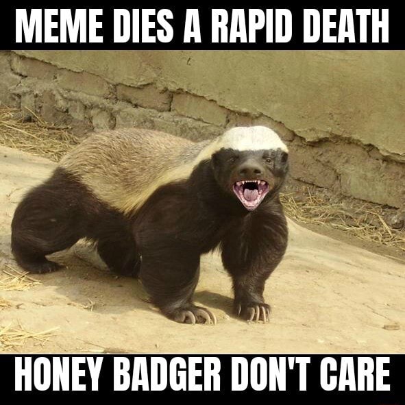 MEME sh RAPID DEATH HONEY BADGER DON'T CARE iFunny