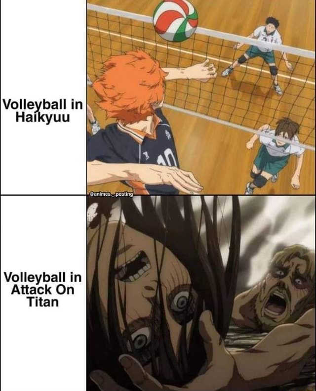 Volleyball In Haikyuu Volleyball In Attack On Titan Ifunny