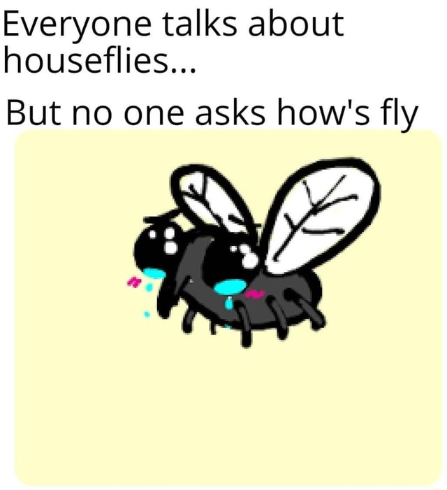 Everyone talks about houseflies... But no one asks how's fly - iFunny