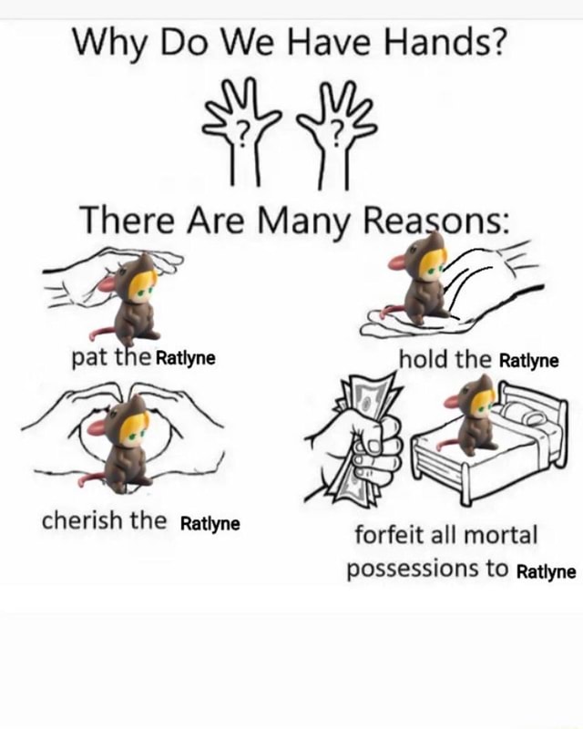 Why Do We Have Hands? There Are Many Reasons: pat the Ratlyne cherish ...