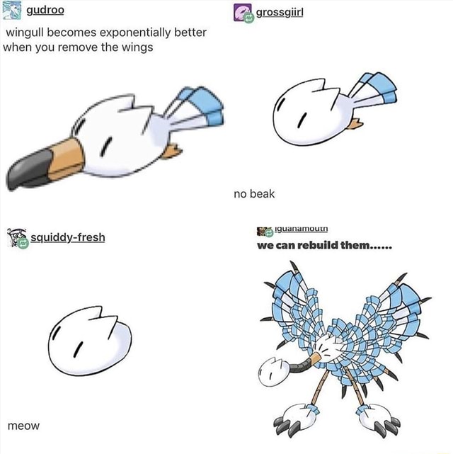 Wingull becomes exponentially better when you remove the wings no beak ...