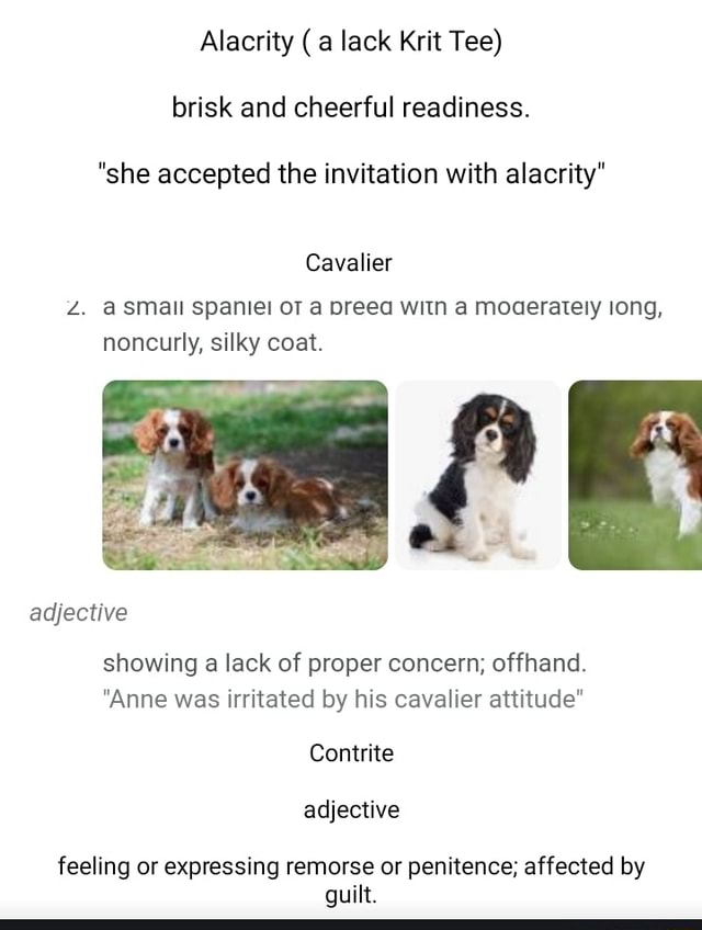 Alacrity (a lack Krit Tee) brisk and cheerful readiness. "she accepted