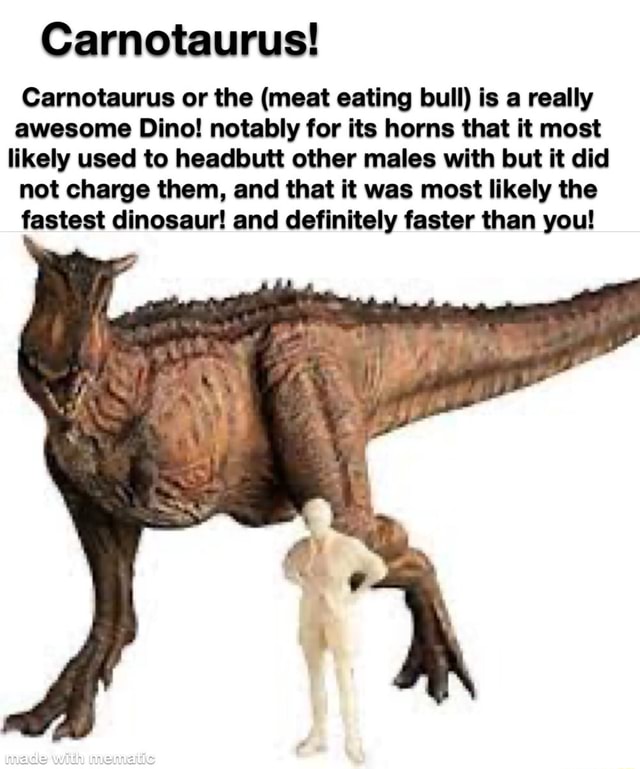 Carnotaurus! Carnotaurus Or The (meat Eating Bull) Is A Really Awesome ...