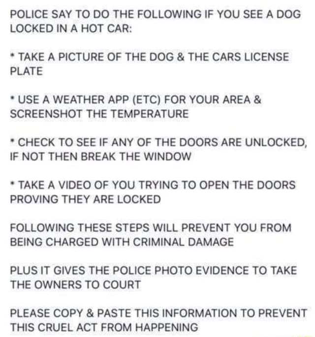 POLICE SAY TO DO THE FOLLOWING IF YOU SEE A DOG LOCKED IN A HOT CAR ...
