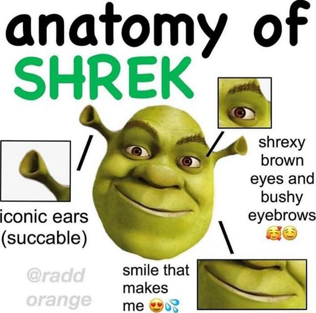 Anatomy of SHREK / shrexy brown eyes and bushy iconic ears eyebrows ...