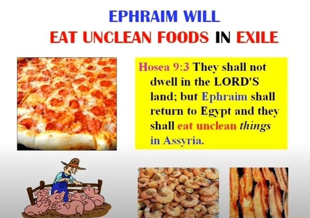 ephraim-will-eat-unclean-foods-in-exile-hosea-they-shall-not-dwell-in