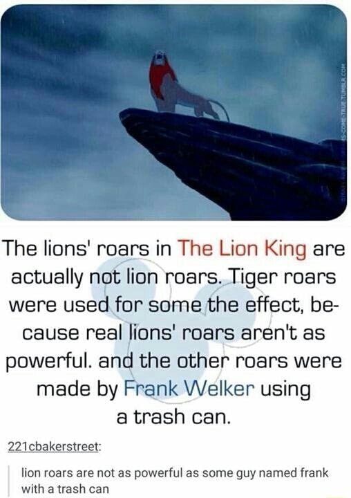 Hahah The Lions Roars In The Lion King Are Actually Not Lion Roars Tiger Roars Were Used 5217