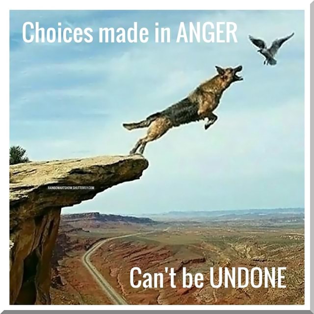 Choices made in ANGER Can't be UNDONE - America’s best pics and videos