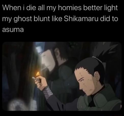 shikamaru light