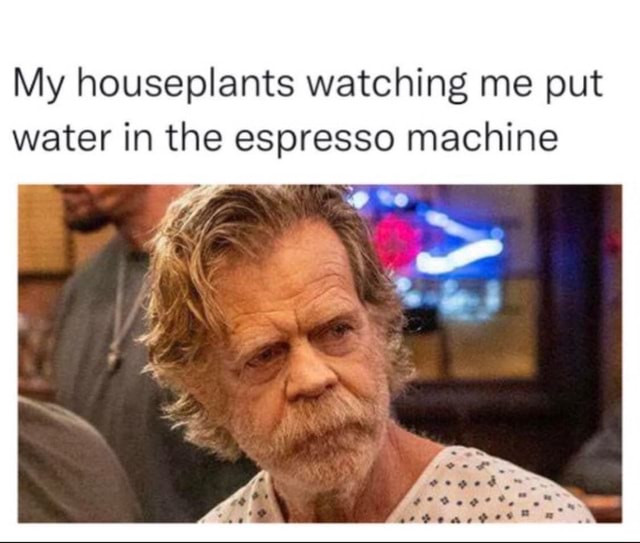 My houseplants watching me put water in the espresso machine iFunny