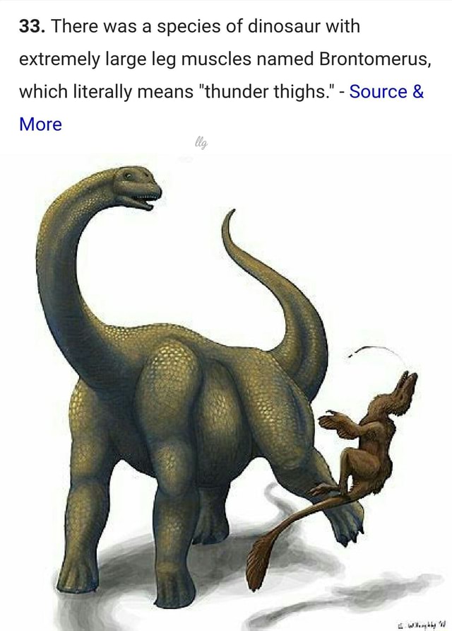 33. There was species of dinosaur with extremely large leg muscles ...