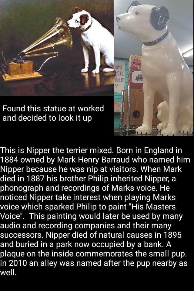 Found this statue at worked This is Nipperthe terrier mixed. Born in