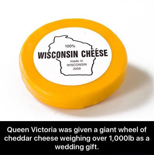 queen victoria was given a giant wheel of cheddar cheese weighing over1 000ib as a wedding gift queen victoria was given a giant wheel of cheddar cheese weighing over 1 000lb as a