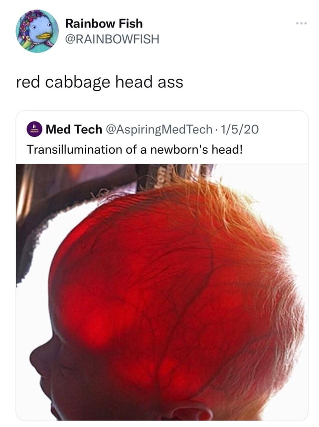 \ Rainbow Fish RAINBOWFISH red cabbage head ass Med Tech