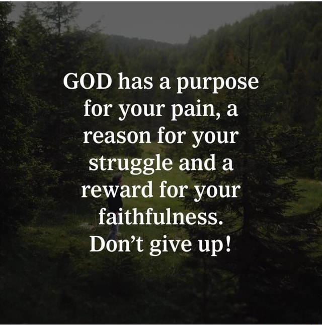 GOD has a purpose for your pain, a reason for your struggle and a ...