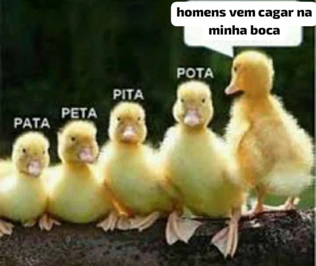 Homens vem cagar na minha boca POTA I - iFunny