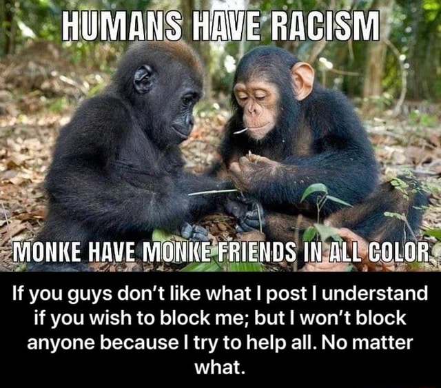 Humans Have Racism Monke Have Monke Friends In All Color If You Guys Don T Like What I Post I Understand If You Wish To Block Me But Won T Block Anyone Because