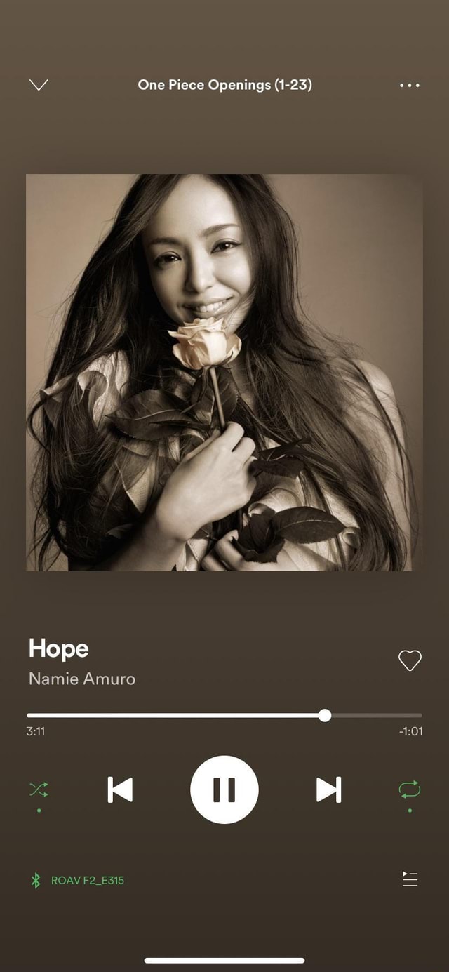 Hope Namie Amuro Roav F2 15 One Piece Openings 1 23