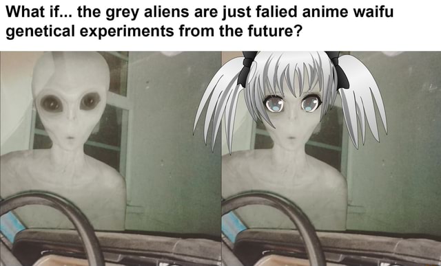 What if... the grey aliens are just falied anime waifu genetical ...