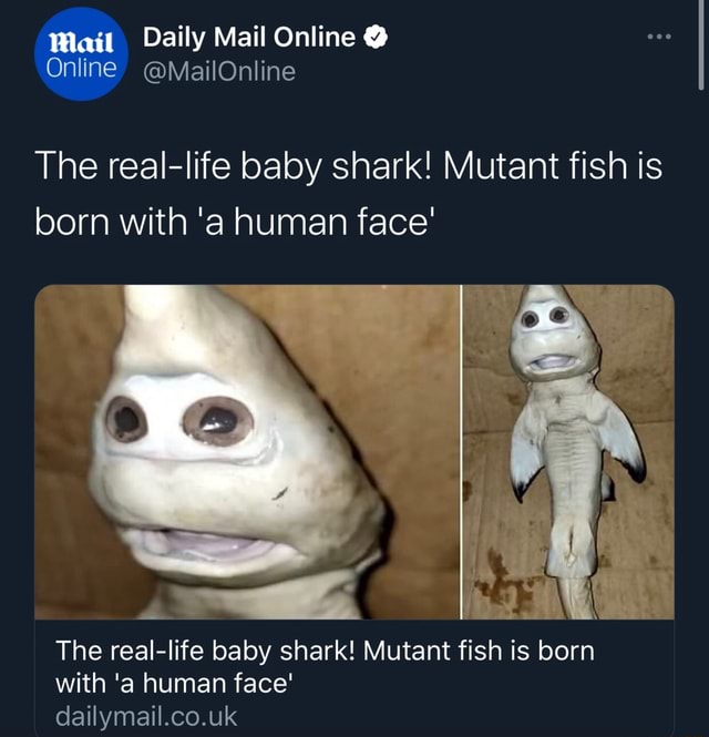 Mait Daily Mail Online Online Mailonline The Real Life Baby Shark Mutant Fish Is Born With A Human Face The Real Life Baby Shark Mutant Fish Is Born With A Human Face Dailymail Co Uk