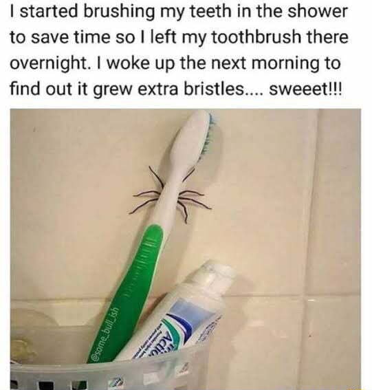 I started brushing my teeth in the shower to save time so I left my