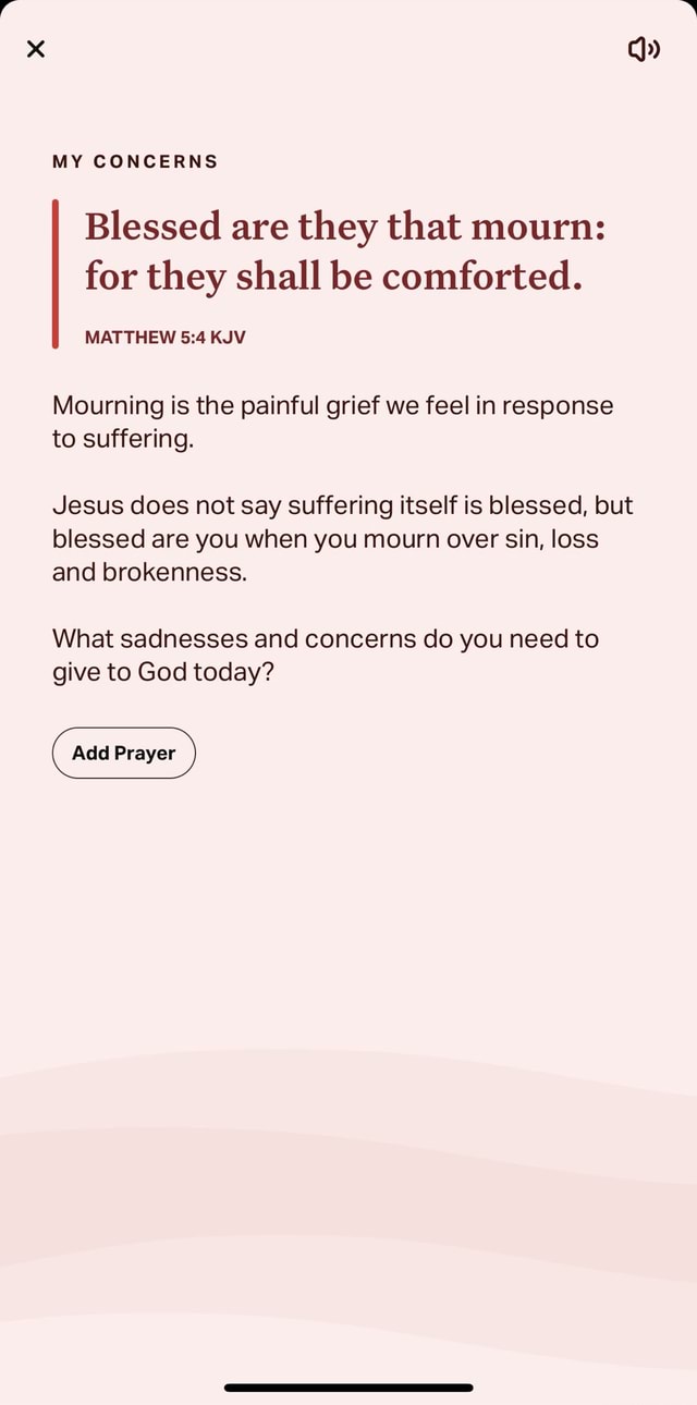 MY CONCERNS Blessed are they that mourn for they shall be comforted