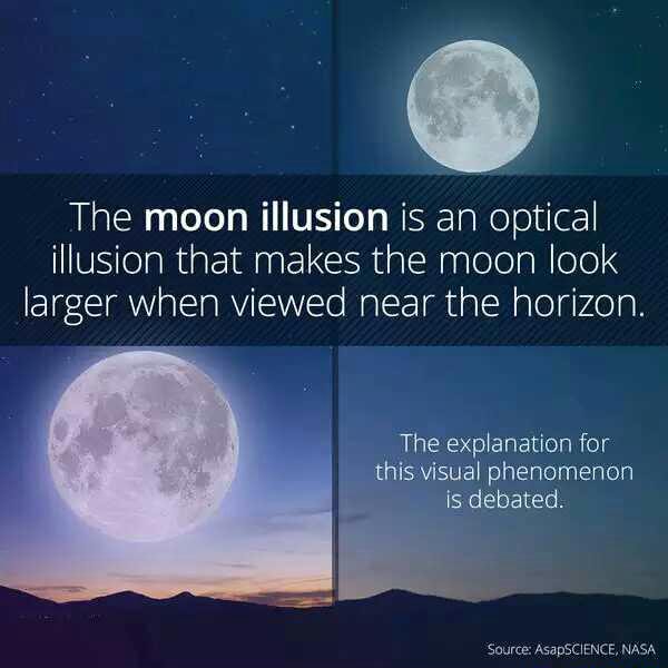 The moon illusion is an optical illusion that makes the moon look ...