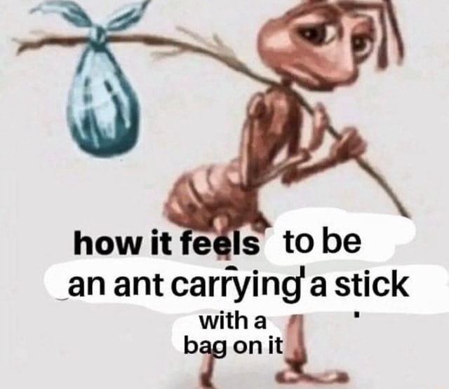 How it fecls' to be an ant carrying a stick witha bag on it - iFunny