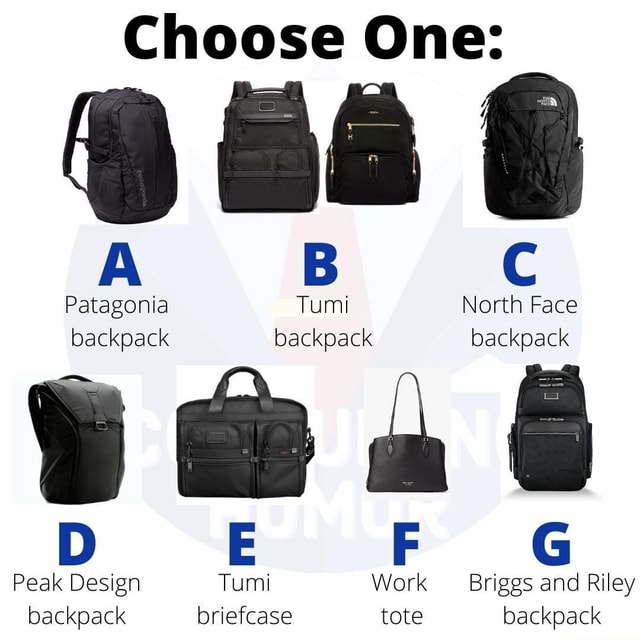Choose One B C Patagonia Tumi North Face backpack backpack backpack E