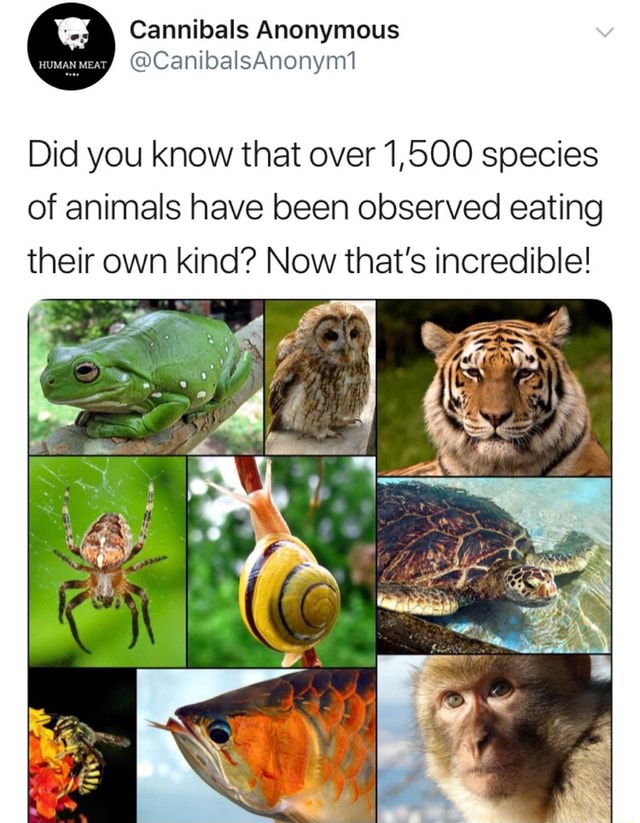 Did you know that over 1,500 species of animals have been observed ...