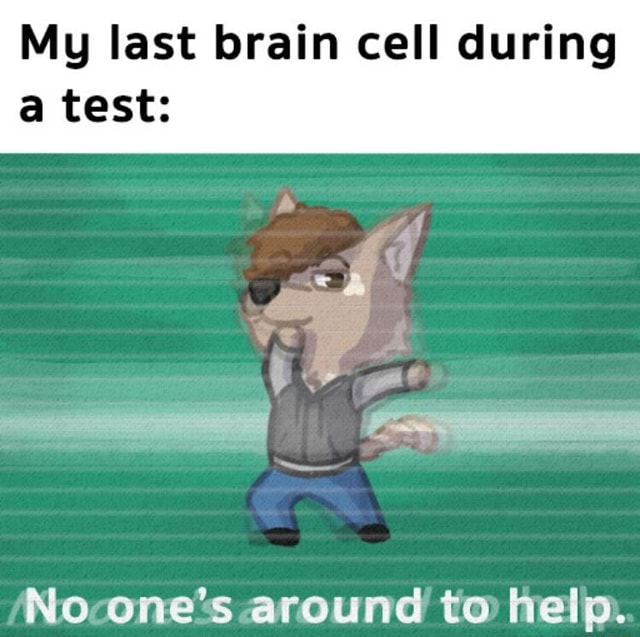 My last brain cell during a test: No one's around to help. - iFunny