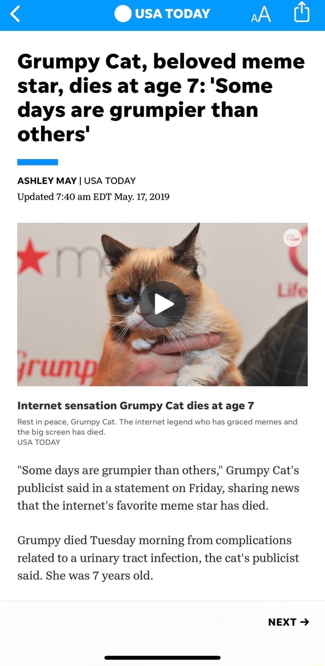 grumpy-cat-beloved-meme-star-dies-at-age-7-some-days-are-grumpier