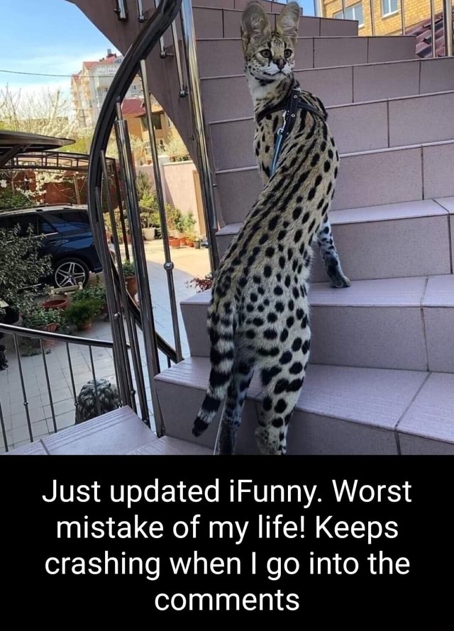 SS WW Just updated iFunny. Worst mistake of my life! Keeps crashing